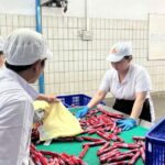 Vissan kết nối sản phẩm chất lượng gắn liền với phát triển du lịch