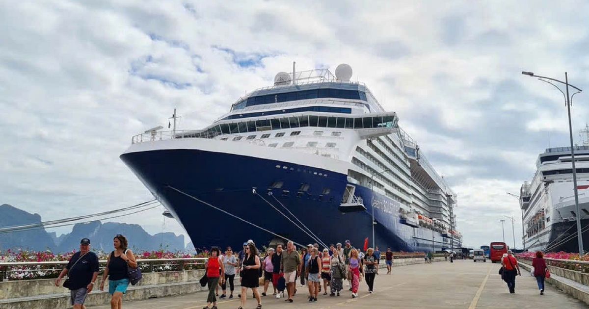 Ngày nghỉ Tết 2026, khách đến vịnh Bái Tử Long nhiều hơn đến vịnh Hạ Long.