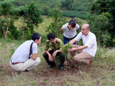 Quỹ Khí hậu Xanh phê duyệt chi trả gần 72 triệu USD cho dự án giảm phát thải tại Việt Nam