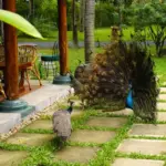 Furama Đà Nẵng lọt top 100 điểm chạm Đà Nẵng