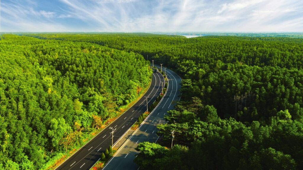 Đoàn Thể thao Việt Nam giành được 4 huy chương vàng trong ngày thi đấu chính thức đầu tiên