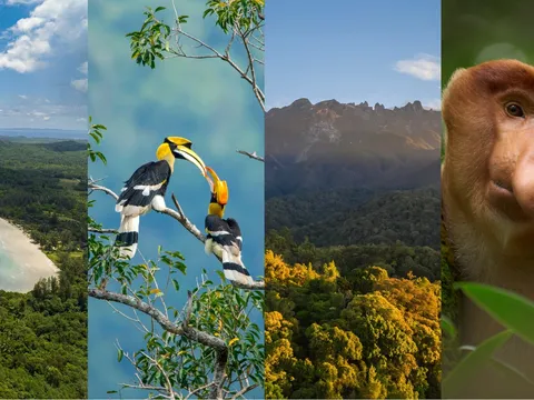 Club Med Borneo: Thêm một lựa chọn nghỉ dưỡng quy mô lớn tại Sabah, Malaysia