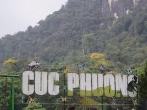 Lạc vào mùa bướm ở Vườn Quốc gia Cúc Phương