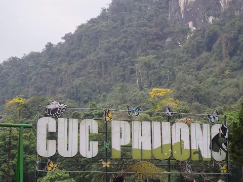 Lạc vào mùa bướm ở Vườn Quốc gia Cúc Phương