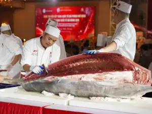Màn trình diễn xẻ cá ngừ vây xanh 223,9kg gây chú ý tại Hải Phòng