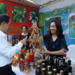 Phố ẩm thực quốc tế-Hạ Long 2026, thêm sản phẩm du lịch bên bờ vịnh Hạ Long