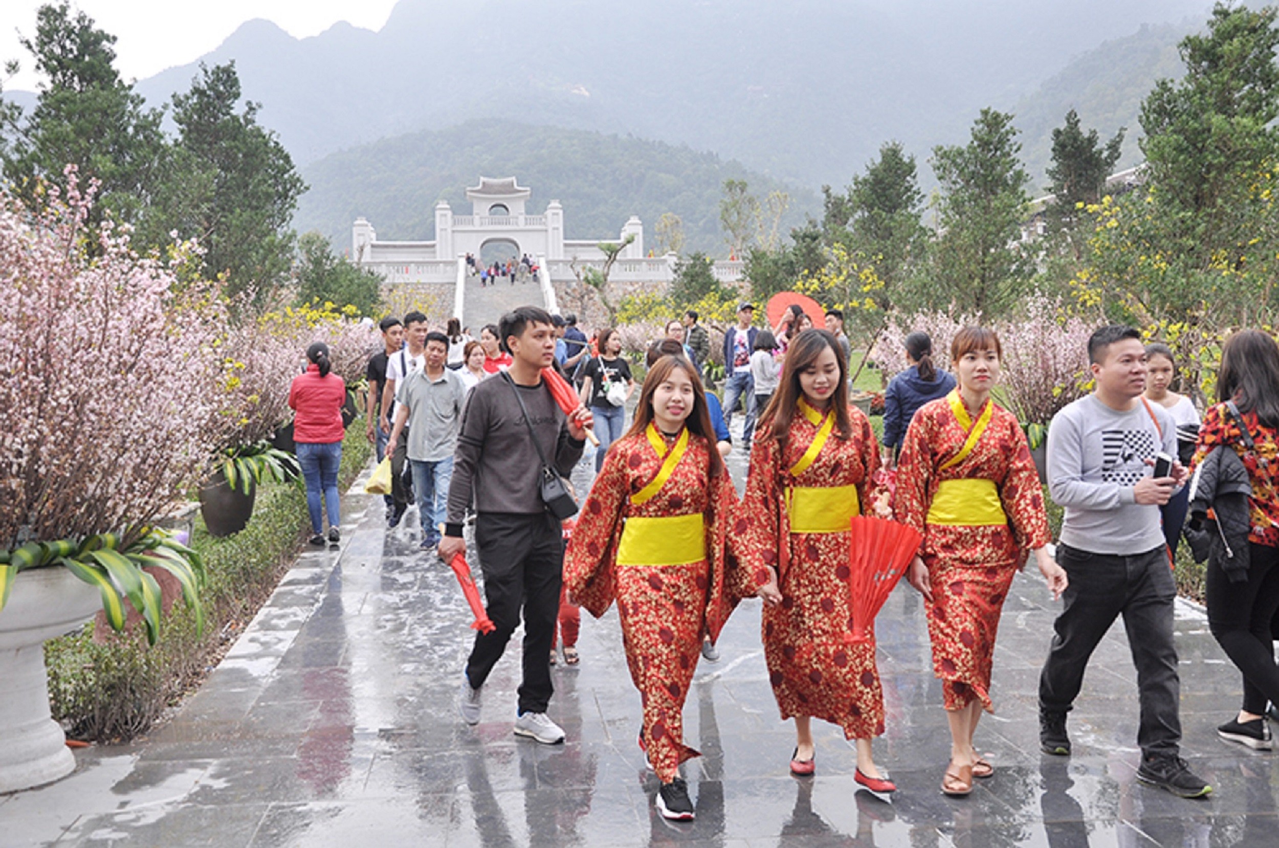5-yen-tu-hoa-anh-dao-1784554193.jpg