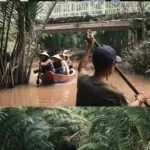 Cồn Thới Sơn – Cồn Phụng: “Cơn sốt” xuồng ba lá và sức hút của du lịch chậm giữa miền Tây