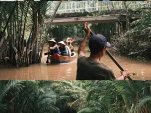 Cồn Thới Sơn – Cồn Phụng: “Cơn sốt” xuồng ba lá và sức hút của du lịch chậm giữa miền Tây