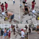 Khánh Hòa: Xác minh nhóm du khách bẻ san hô ở Hòn Chồng, có thể bị phạt đến 100 triệu đồng