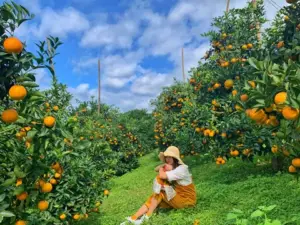 Từ một vụ việc về xuất xứ hàng hóa đến bài toán bảo vệ thương hiệu địa phương