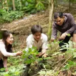 Quảng Ngãi viết lên giấc mơ trở thành “thủ phủ dược liệu” Việt Nam