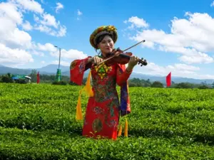 Đường Hoa: Đưa hương trà trở thành sản phẩm du lịch xanh