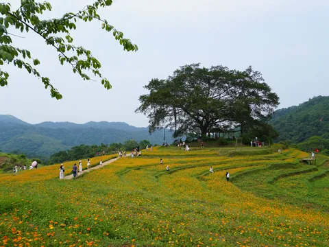 Người gieo “mầm xanh” du lịch trên đỉnh xóm Mừng