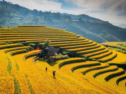 Đi giữa mùa vàng Mù Cang Chải, “săn” ảnh đẹp và chạm vào văn hóa vùng cao