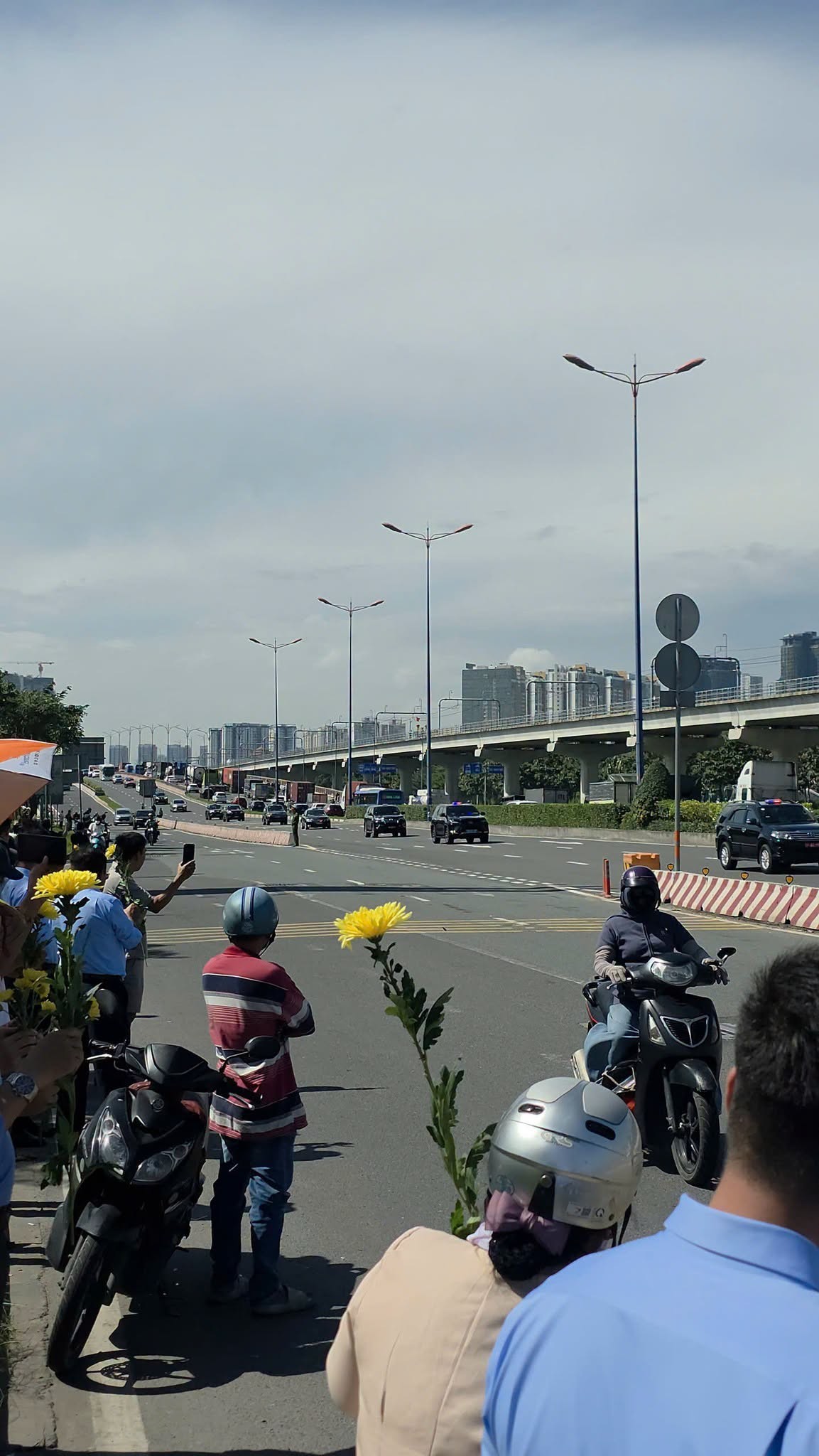 11-1791958569.jpg