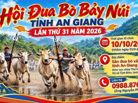Sôi nổi Hội Đua bò Bảy Núi tỉnh An Giang lần thứ 31 năm 2026