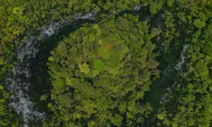 Phát hiện hố sụt sâu 120m, có rừng nguyên sinh ở Phong Nha – Kẻ Bàng