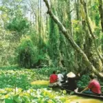 ĐỒNG THÁP – NƠI THIÊN NHIÊN KỂ CHUYỆN ĐẤT PHƯƠNG NAM