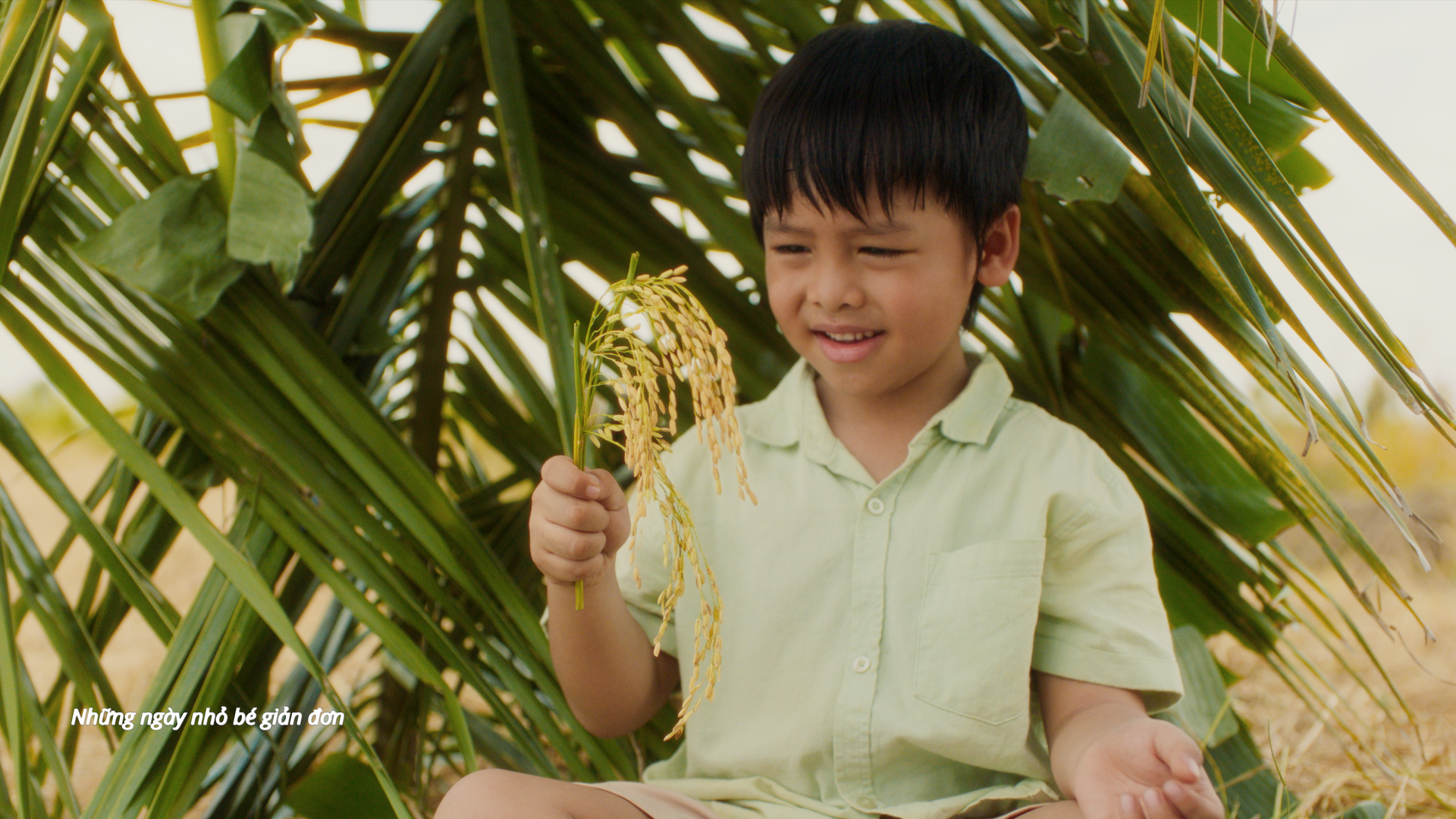 phuong-my-chi-mv-gao-cua-ta-6-1792039886 phuong-my-chi-mv-gao-cua-ta-6-1792039886.png