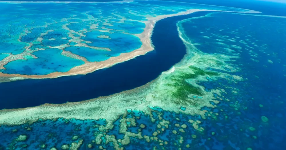 rang-san-ho-great-barrier-1-1024x538-1793094664.webp